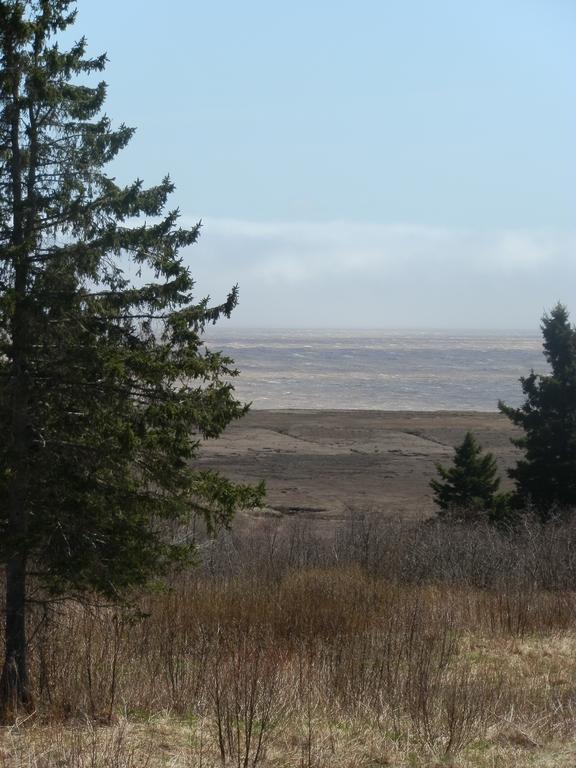 Hopewell Rocks Motel & Country Inn โฮปเวลเคฟ ภายนอก รูปภาพ